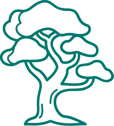 gimenez pompes funèbres vente boutique arbres